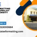 Latex formatting Services Apeejay Stya University Panipat