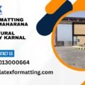 Latex formatting Services Maharana Pratap Horticultural University Karnal