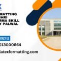 Latex formatting Services Shri Vishwakarma Skill University Palwal