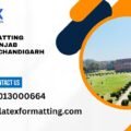 Latex formatting Services Panjab University Chandigarh